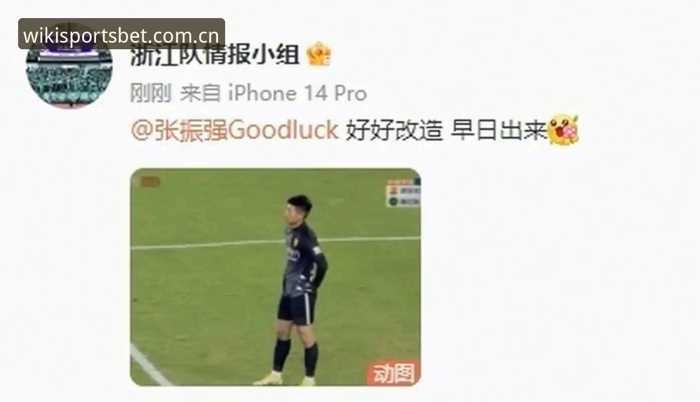 维基彩票怎么样对比 足坛反腐风暴vs行业净化:维基彩票平台视角下的中国足球禁足名单深度对比分析